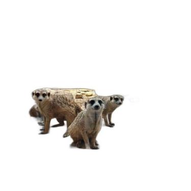 Imagem de Quebra-Cabeça Cognitivo Lêmures De 300 Peças Em Mdf - Coleção Tea E Am