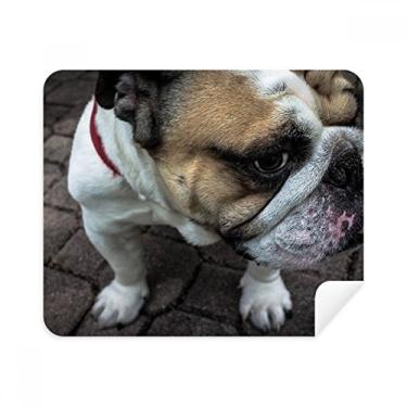 Imagem de Pano de limpeza para fotografia de animais Bulldog para animais de estimação, 2 peças, tecido de camurça