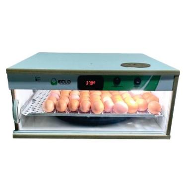 Imagem de Chocadeira Automática 56 Ovos de Galinha + Ovoscópio - Eclo, 220V