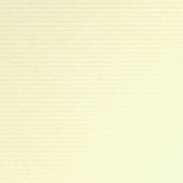 Imagem de Papel Color Plus TX Microcotelê - Marfim (10UN)
