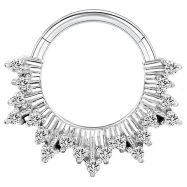 Imagem de TRBR Anel de septo CZ com design de fogos de artifício 16G, joia de aço cirúrgico, pedra preciosa, articulada, segmento clicker, brinco Daith, calibre 16, ouro, prata, 8 mm, 16G-8mm, Aço inoxidável