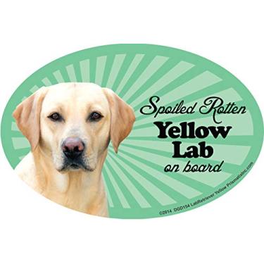 Imagem de Prismatix Decal Lab Retriever (Amarelo) Ímãs de carro: Spoiled Rotten Lab Retriever (Amarelo) - Oval 15 cm x 10 cm Auto/Caminhão/Geladeira/Caixa de Correio (Decalques Engraçados para Carros, Ímã de Cachorro, Recuperador de Laboratório (Amarelo)