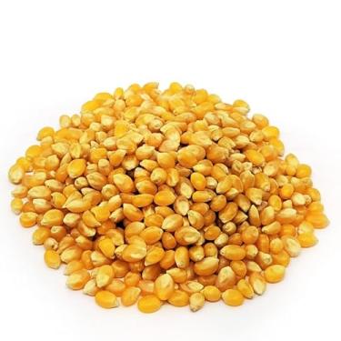 Imagem de Milho de Pipoca Nacional (Pacote 5 kg)