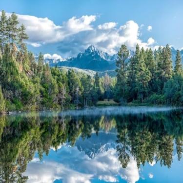 Imagem de Quadro Decorativo Paisagem Lago com Árvores em Estampa Scenic View - Decoração Moderna Tamanho 50x50cm