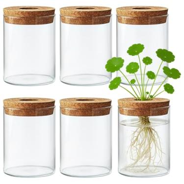 Imagem de 6 peças de vasos de vidro transparente com rolhas de cortiça, elegantes recipientes de flores em forma de cilindro, ideais para decoração de interiores em todos os estilos de casa