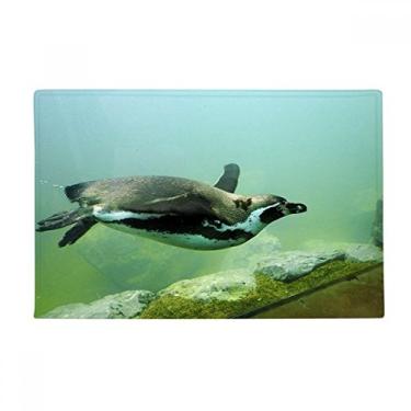 Imagem de DIYthinker Tapete antiderrapante para porta de banheiro com imagem de pinguim da Antártica do oceano