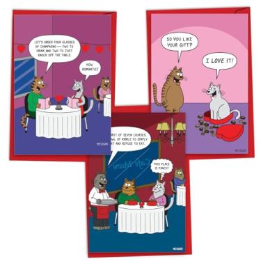 Imagem de NobleWorks Pacote sortido de 3 cartões de felicitações hilários para o Dia dos Namorados com envelopes (3 designs, 1 cada) Gatos Românticos Metzger VC10888VDG-C1x3