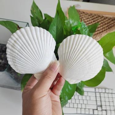 Imagem de Conchas marinhas para decoração de artesanato QICQDRAM 16PCS brancas