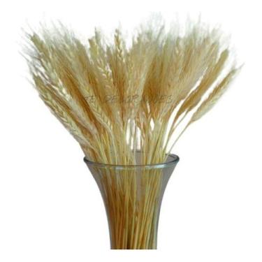 Imagem de 2 Maços De Trigo Alvejado Decoração Sala Santa Ceia Vasos. - VIVA FLOR