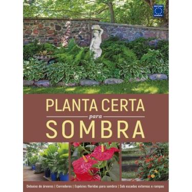 Imagem de Planta Certa Para Sombra