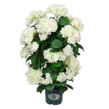 Imagem de Árvore de hortênsia artificial de 78 cm com flores brancas, hortênsia sintética em vaso para decoração interna e externa, planta falsa resistente a UV para decoração de casa, varanda ou escritório (1