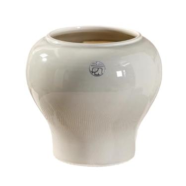 Imagem de macetes para plantas Vasos de flores elegantes são adequados para o plantio hortênsias, orquídeas, babosa, etc para casa de jardim