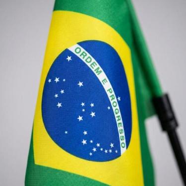 Imagem de Bandeira do Brasil para Carro com Haste Montada 30x45cm 1 Unidade - Se