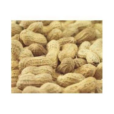 Imagem de Amendoim Com Casca 0,750gr - Nobrand