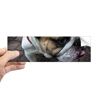 Imagem de DIYthinker Adesivo retangular com foto de animais de estimação Bulldog para notebook, janela