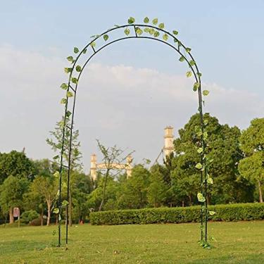 Imagem de Arco De Jardim, Arco De Jardim De Metal, Caramanchão Tubular Forte Resistente, Para Várias Plantas Trepadeiras, Quintal De Gramado De Jardim Ao Ar Livre,B,Collector88