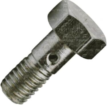 Imagem de Parafuso Oco Lubrificante Yanmar NS50 NS11 M8x125