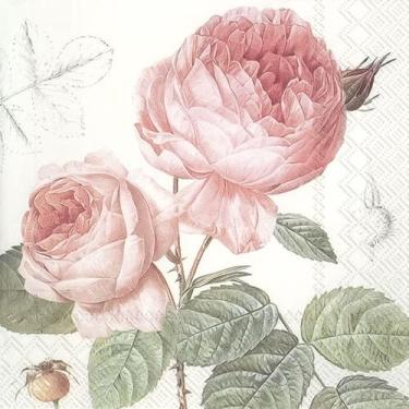 Imagem de Guardanapo para Decoupage Ihr 33x33 Rosas Elisabeth C/ 2 Unidades - GU