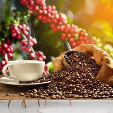 Imagem de Papel de Parede Café Cafeteria Xícara Grãos Sala Painel - 209pcp - All