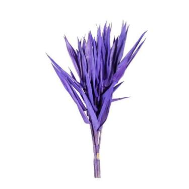 Imagem de Capim Navalha Folha André Quice Lilás - Pense Flores