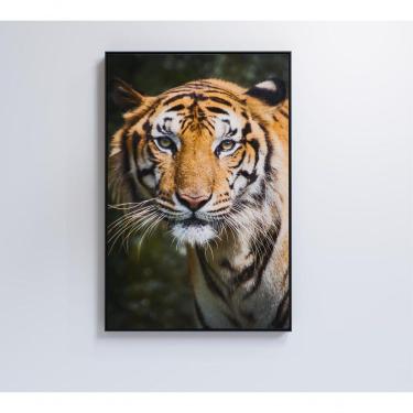 Imagem de Quadro Tigre 60x90 Cm Adesivo Fotográfico