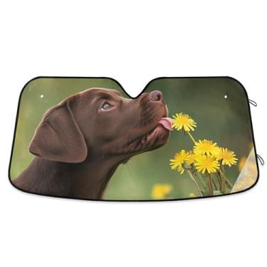 Imagem de Guarda-sol de dente-de-leão de filhote de labrador curioso personalizado para para-brisa de carro dobrável universal caminhão persianas de carro para janelas dianteiras automotivas S, 134,6 cm x 59,7