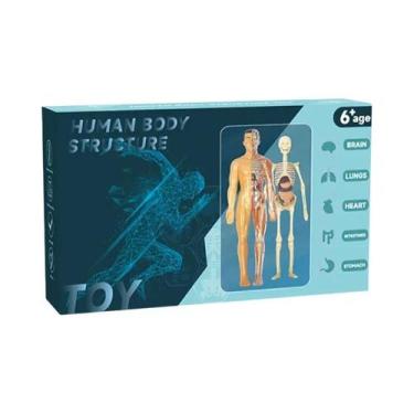 Imagem de Brinquedo Educacional De Ciência Para Crianças: Modelo De Torso Humano