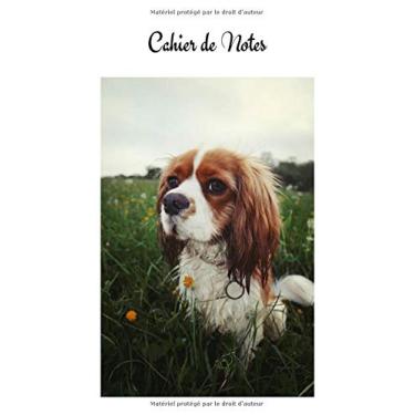 Imagem de Cahier de Notes: Cavalier King Charles. Carnet de notes chien Epagneul Cavalier King Charles. Joli cahier de 100 pages lignées numérotées avec ... chiens nains, chiens miniatures, notebook A5