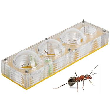 Imagem de Caixa De Criação De Formiga, Ninhos De Reprodução De Formiga Acrílica Casa De Fazenda Formiga Caixa De Exibição Brinquedo De Casa De Formiga