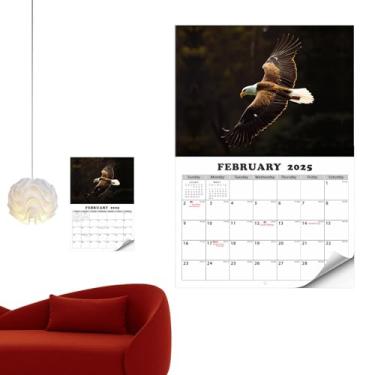 Imagem de Shakven Calendário de Eagle 2025,2025 Calendário de Parede de Eagle,Calendário mensal da Eagle Wall de janeiro de 2025 a janeiro de 2026 Planejador de parede | Agendador diário brilhante lançando