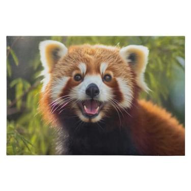 Imagem de Wassud Tapete de porta de panda vermelho sorridente 61 x 89 cm, tapete de área lavável antiderrapante com suporte de borracha, tapete macio e macio para sala de estar, quarto, entrada, entrada