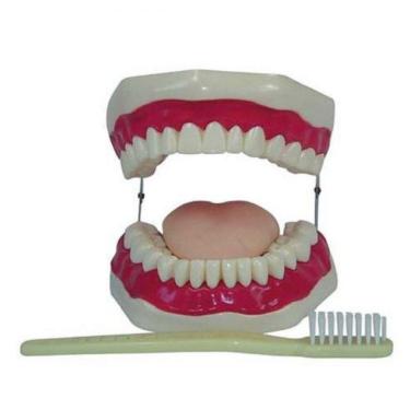 Imagem de Boca com Arcada Dentária Língua e Escova