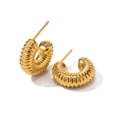 Imagem de Par de Brincos em Aço Inox Argola Caracol 10mm