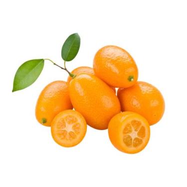 Imagem de Muda Frutífera de Laranja Kinkan Doce Enxertada (Xim Xim) - AgroJardim