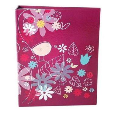 Imagem de Álbum 120 Fotos 10X15 Paint Rec 100/09