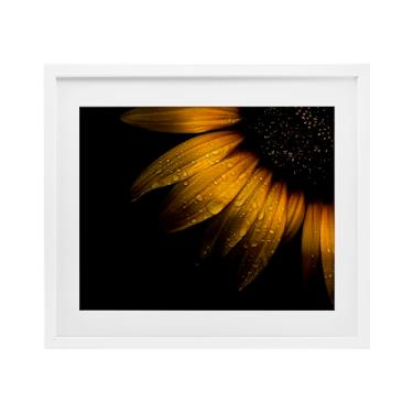 Imagem de Stupell Industries Gotas de água em impressão emoldurada cinza girassol sob vidro, design por Brian Carson Photography, 13 x 16