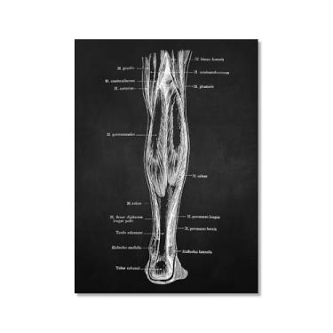 Imagem de Fundo preto anatomia humana arte médica impressões em tela imagens esqueleto músculo pôster vintage educação pintura arte decoração de parede (SKU6,20.3x30.5 cm = (20x30 cm), sem moldura)