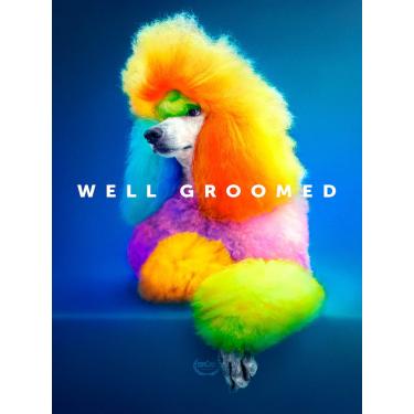 Imagem de Well Groomed