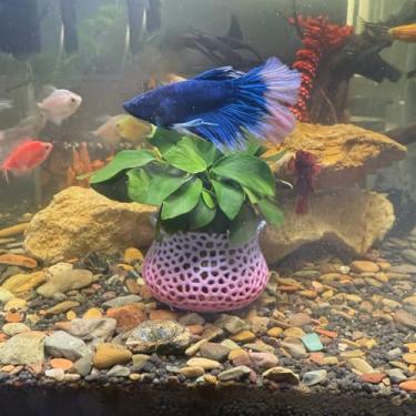 Imagem de Vaso de plantas submersas para aquário, âncora de planta subaquática, planta aquática de tanque de peixes, decoração de paisagismo de aquário, acessórios decorativos - conjunto de 2 peças (cor )