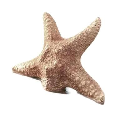 Imagem de Verão Praia Oceano Pintura Em Tela Ponte Tartaruga Gaivota Impressão D