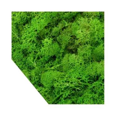 Imagem de Mini Plantas Verdes Artificiais 20/40g Musgo Da Vida Eterna Para Artes