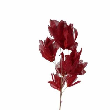 Imagem de Planta Seca Pimentinha no Espeta Vermelho - Pense Flores