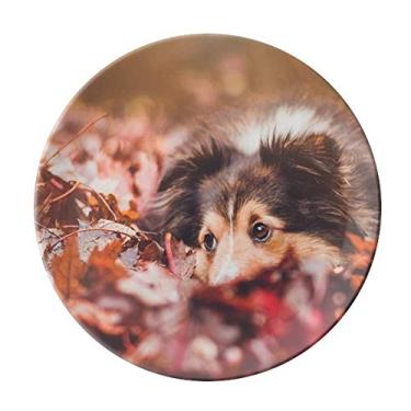 Imagem de Placa de foto de folhas de animal de estimação decorativa de porcelana Salver louças de jantar