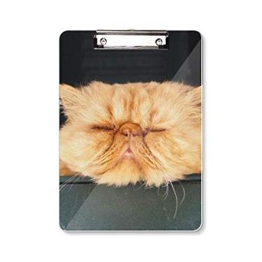 Imagem de Prancheta de desenho de gato amarelo engraçado animal placa de apoio A4