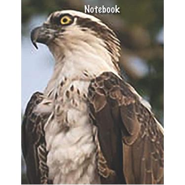 Imagem de Notebook: Hawk Print, Wildlife Notebook, Benevolent Bird Series: College-Ruled Lined Paper 110 Pages - Large 8.5” x 11” Composition Notebook Journal ... brainstorming, and strategy planning