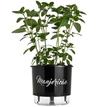 Imagem de Vaso Raiz Auto Irrigável 16X14 Preto Manjericão Anti Dengue