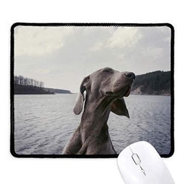 Imagem de Mousepad para animais de estimação cinza com bordas costuradas Tapete de borracha para jogos