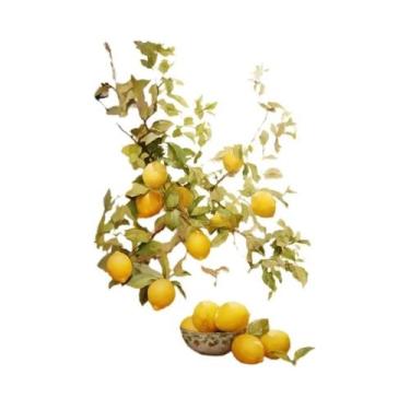 Imagem de Pôster Em Tela De Árvore De Oliveira E Limão, Arte De Parede Retrô Par