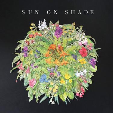 Imagem de Sun on Shade [LP]