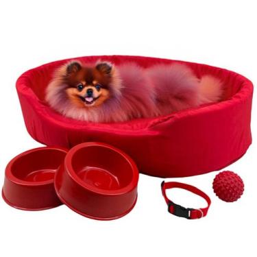 Imagem de Kit Pet Pequeno Cama Europa Potes Água Ração Coleira Bolinha - Supri P